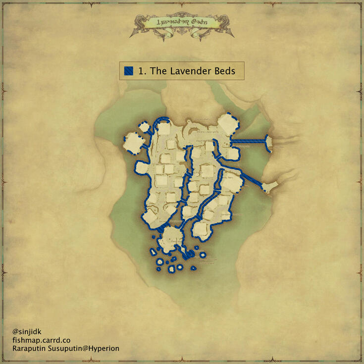 The Lavender Beds